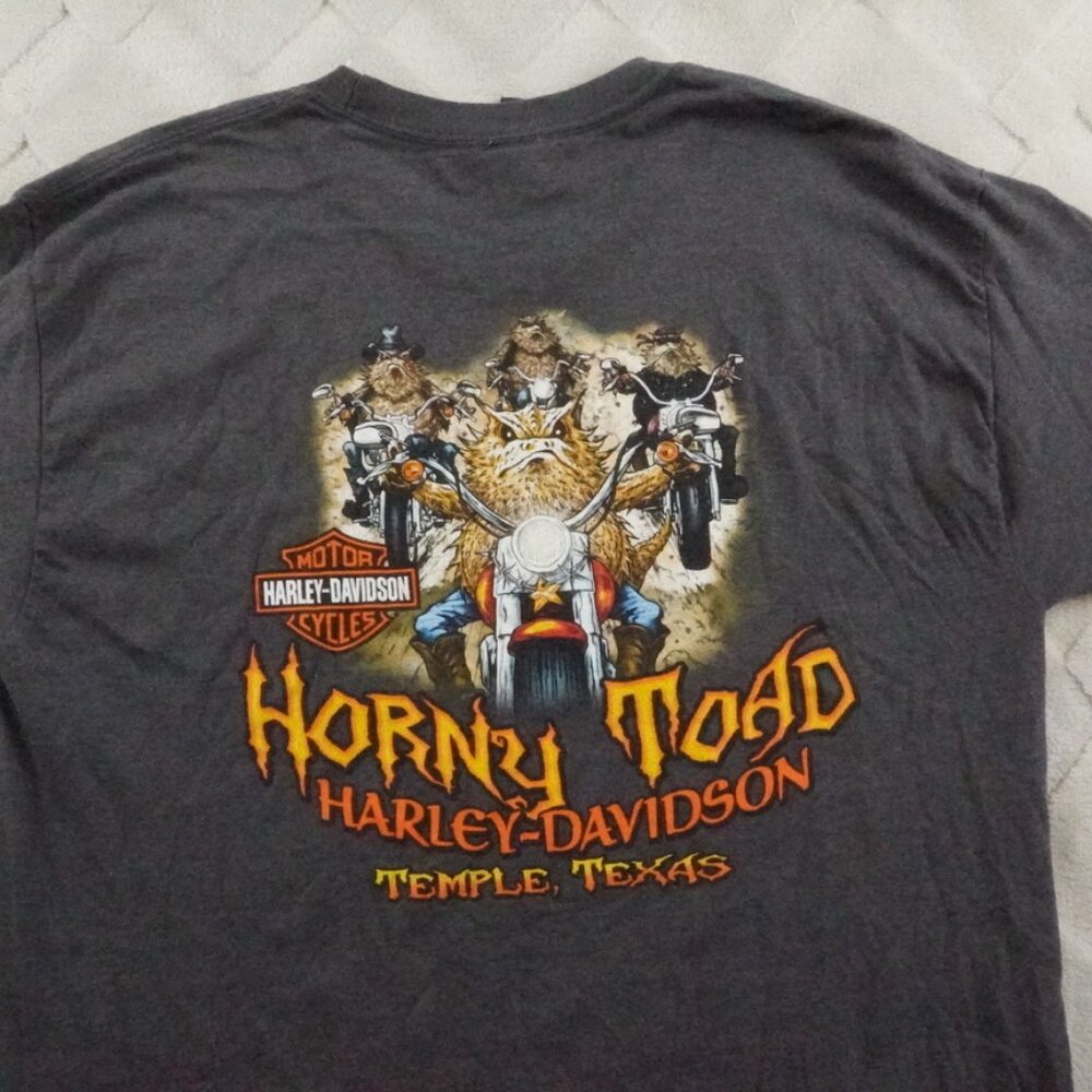 Harley-Davidson T-Shirt Mens Large Gray Graphic Print Crew Neck